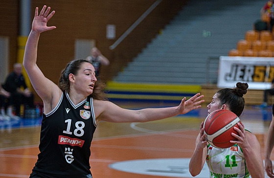 Eli�ka Hálová (vlevo) z Hradce Králové brání v zápase s KP TANY Brno, u mí�e...