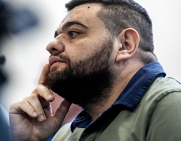 Žalobkyně chce výjimečné tresty za vraždu Arména. Ten nemusel být pohřben zaživa