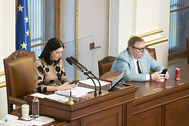 Dědictví paní Markéty, aneb nového šéfa si TOP 09 už ani hledat nemusí