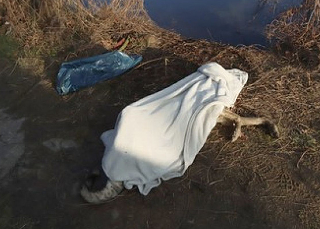 V modrém igelitovém pytli v rybníku v Ostrav - Porub leel mrtvý kíenec...