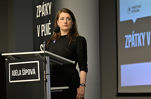 Snad nebudu muset prodat ledvinu, reaguje senátorka na Pavlovo veto
