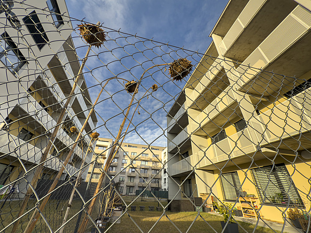 V�t�ina nové �tvrti u� stojí. Zbývá dod�lat poslední dva domy, práce mají...