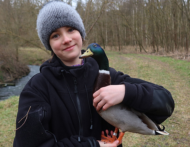 Nerozlu�ná dvojice. Tesák se rozhodl, �e rad�ji z�stane s Haninou. Volná...