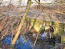 Ze zabahnnho a zarostlho koryta Pokratickho rybnka v Litomicch...