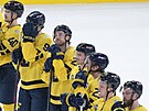 Zklamaní védtí hokejisté po poráce na Four Nations