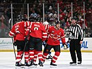 Radost kanadských hokejist po gólu na 5:3 proti Finsku.