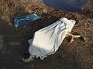 V modrm igelitovm pytli v rybnku v Ostrav - Porub leel mrtv kenec...