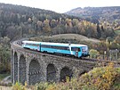 Arriva na Novinském viaduktu