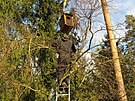 V lesch Pelhimovska se zaaly objevovat nov pta budky. Pedseda spolku...