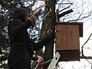V lesch Pelhimovska se zaaly objevovat nov pta budky. Pedseda spolku...
