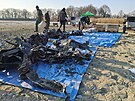 Ze dna rybn�ka u Oder na Novoji��nsku se poda�ilo vyzvednout trosky...