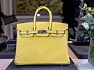Kabelka Mimosa Matte Mississippiensis Alligator Birkin od Hermès b�hem...
