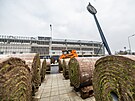 Na malovickm stadionu zaala pokldka novho trvnku dovezenho z Nizozemska.