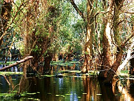 Nemusíte za Amazonkou nebo k Orinoku. V Evrop� máme Dunaj. A s rozlohou 5 800...