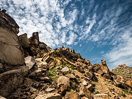 Vlci, rysi, medv�di ale té� t�eba sup b�lohlavý. Národní park Munții...