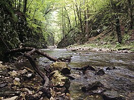 Národní park Semenic-Cheile Carașului je situován do st�edu Banátského...