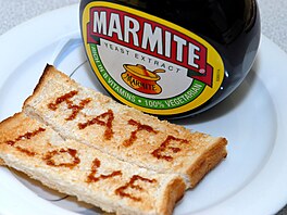 Na konci 19. století objevil v�dec Justus von Liebig, �e pivovarské kvasnice...