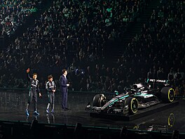 Mercedes-AMG Petronas Formula One Team. St�íbrný nos, �erno-st�íbrné t�lo....