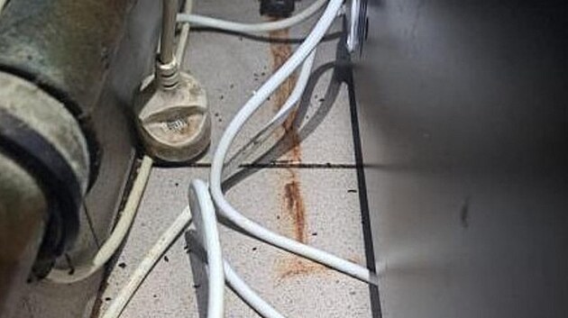Restauraci Burger Inn v Sklov ulici v Brn zavela na jeden den Sttn zemdlsk a potravinsk inspekce po nlezu myho trusu a zanedbanch opaten proti vnikn hlodavc do provozovny. (nor 2025)