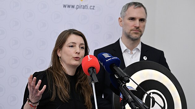 P�edseda Pir�t� a volebn� l�dr Zden�k H�ib p�evzal od sv�ho p�edch�dce v �ele strany Ivana Barto�e �t�t proti dezinformac�m a populist�m. Pomoc ve volebn� kampani mu nab�dla i sen�torka Ad�la ��pov�, kter� prohr�la souboj o to, kdo bude volebm� l�dr.