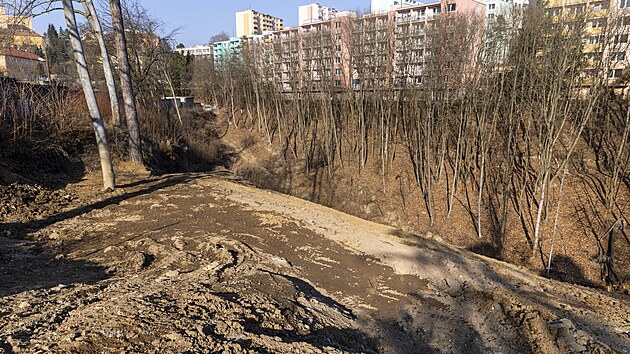 Adamov chce zavzt zalesnnou rokli na sdliti Ptaina sut, aby vytvoil parkovac msta, kterch m msto nedostatek.