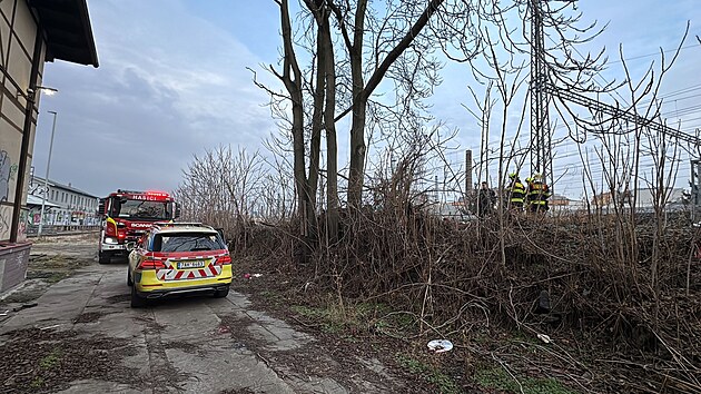 Po srce s lakem zemel na ndra ve Vrovicch lovk. (10. nora 2025)