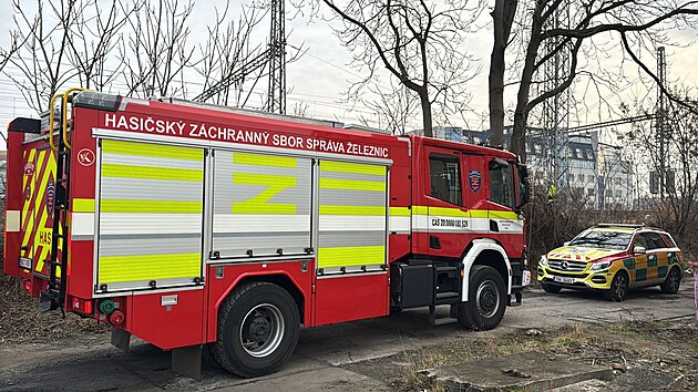 Po srce s lakem zemel na ndra ve Vrovicch lovk. (10. nora 2025)