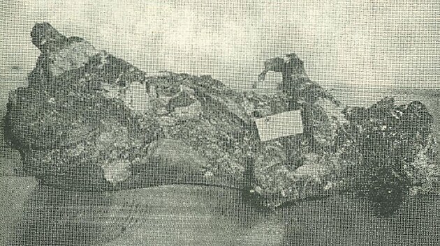 Oho�el� mrtvola Marie Jel�nkov� nalezen� v dom�.