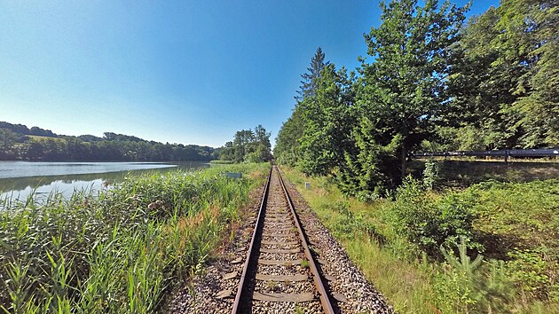 Tra� vede po b�ehu Jezdovick�ho rybn�ka