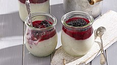 Kokosov� tapiokov� pudink s ostru�inov�m p�elivem