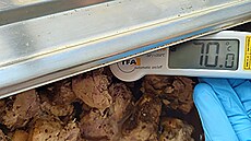 M��ení teploty pokrm� k ov��ení dodr�ování teplotního �et�zce je b�nou...