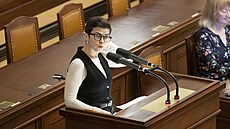 Místop�edsedkyn� Sn�movny za Piráty Olga Richterová (13. února 2025)
