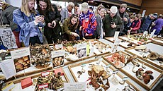 Je�t� v roce 2010 náv�t�vnost Výstavy hub ve Vancouveru kolísala mezi 30�100...