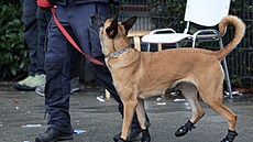 Policie zasahuje v Mnichov� na míst�, kde �idi� najel do skupiny lidí. (13....