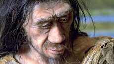 Homo erectus. Práv� on v izraelském tábo�i�ti podle studie nejspí� �il. A...