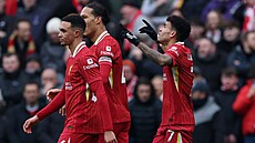 Liverpoolský úto�ník Luis Díaz (vpravo) slaví se spoluhrá�i sv�j gól.