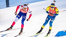 Michal Kr�má� (vlevo) b�hem sprintu na mistrovství sv�ta v Lenzerheide