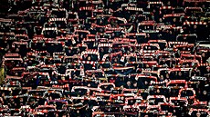 Slávisti�tí fanou�ci se svými �álami