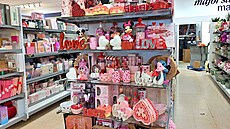 ilustra�ní snímek