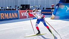 Tomá� Mikyska vyrá�í do vytrvalostního závodu jako první ze sedmadevadesáti...