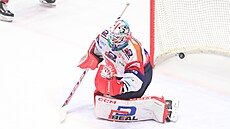 St�ela Davida Vitoucha ze Sparty prochází p�es pardubického branká�e Tomá�e...