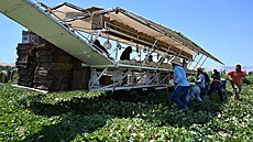 Migranti pracují na farm Kalifornii. (15. ervna 2024)