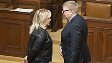 Místopedseda ANO a stínový ministr práce a sociálních vcí Ale Juchelka...