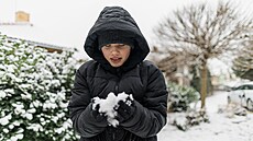 Zasn�ené vinice na ji�ní Morav�