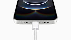 Apple iPhone 16e