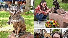 Kocour Bob má nejen sochu, ale i knihu a celove�erní film.