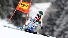 Slovák Andreas �ampa b�hem ob�ího slalomu na mistrovství sv�ta v Saalbachu