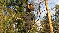 V lesích Pelh�imovska se za�aly objevovat nové pta�í budky. P�edseda spolku...