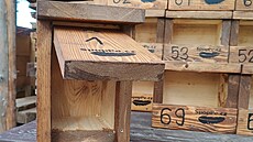 V lesích Pelh�imovska se za�aly objevovat nové pta�í budky. P�edseda spolku...