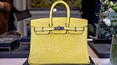 Kabelka Mimosa Matte Mississippiensis Alligator Birkin od Hermès b�hem...
